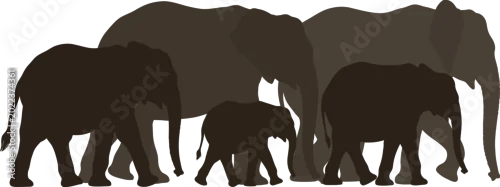 Fototapeta Dark brown elephant family silhouettes, walking herd, black wildlife icons, vector graphics