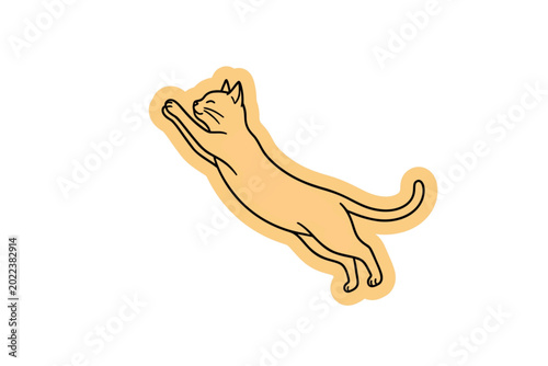 Foto playfull cat illustration