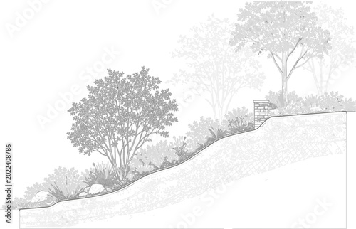 Garden Landscape Plan and Elevation Vector Design with Trees, Pathway, Shrubs, Human Scale and Architectural Site Drawing