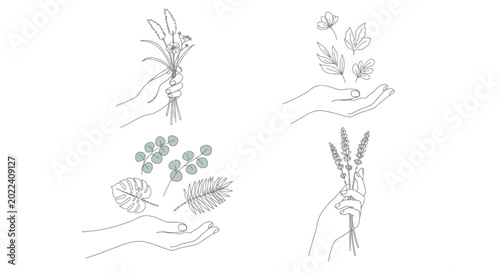 Line art hands holding and receiving botanical elements, minimalist nature illustration set
