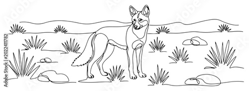 Schilderij op canvas Dingo standing in Australian outback landscape in continuous line art style