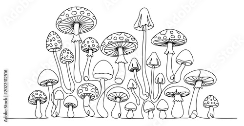 Photos Forest mushroom group growing in wild nature with fly agaric patterns in continu