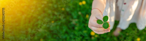 Photos Clover in the hands of a child in the garden. Selective focus.