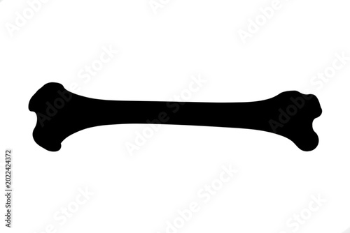 Bone Silhouette: A stark silhouette of a single bone against an empty backdrop, revealing its intricate structure and form.