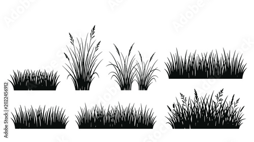 Collection of different grass silhouettes for design and illustration