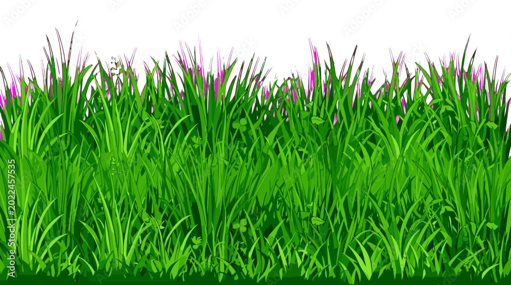 Obraz premium Lush green grass with purple flowers growing on a natural field
