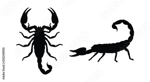 Canvas Print Scorpion silhouettes in two poses against a white background silhouette