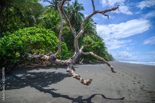 a beautiful beach at Costa Rica