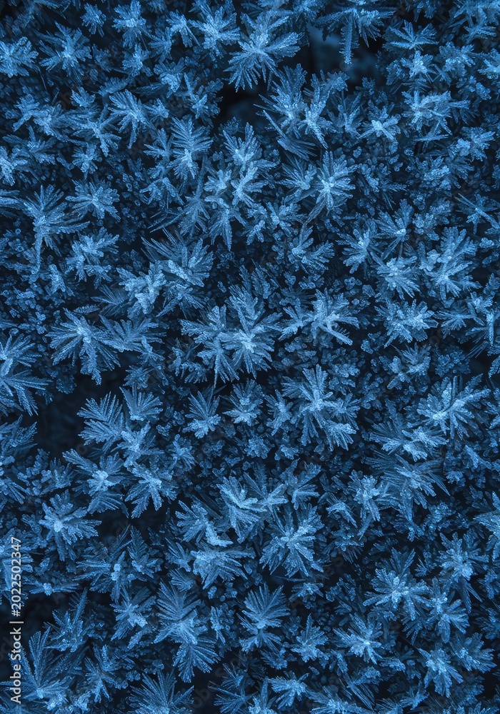 Obraz premium Abstract frosty patterns covering natural surfaces, evoking cold seasonal elegance and creative frozen beauty ,style ,solitude ,frost