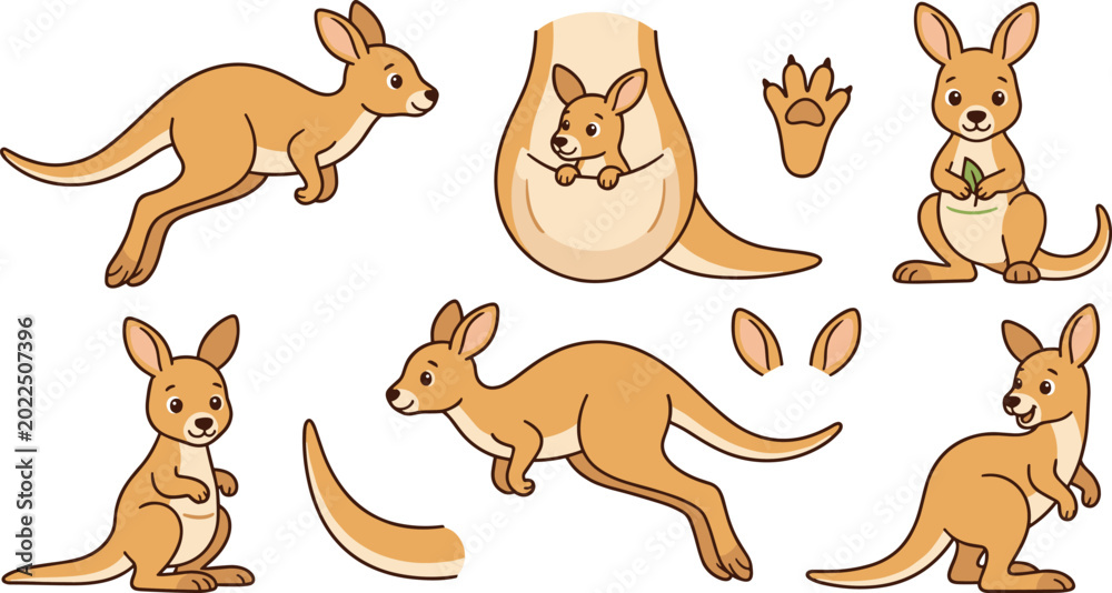 Obraz premium Cute Kangaroo Illustration Set with Jumping, Baby Kangaroo, and Pouch for Wildlife, Animal, and Nature Themes