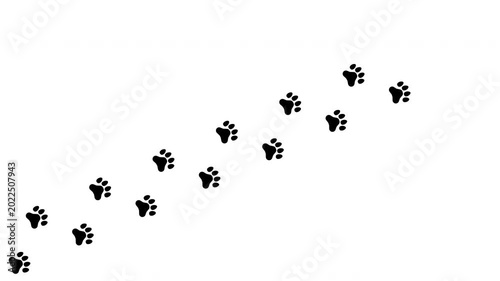 犬や猫などの動物の足跡が斜めに横切る背景（白背景）