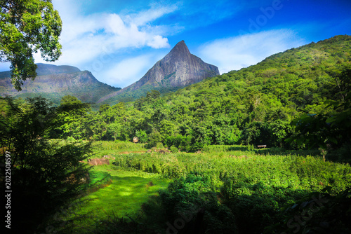 Canvas Print Lakegala Mountain View in Meemure Sri Lanka