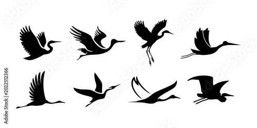 Photography Flying goose fly swan cygnet silhouette set icon isolated graphic