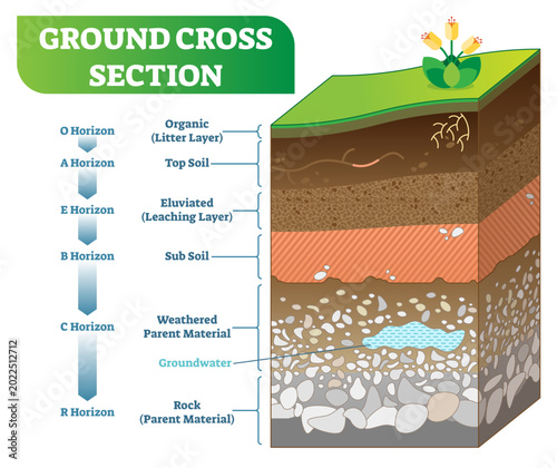 Photography Ground Cross Section with organic, topsoil, subsoil and other horizon levels, transparent background