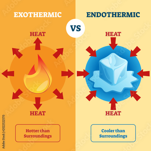 Bild auf Leinwand Exothermic and Endothermic illustration, transparent background