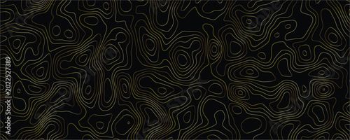 Photos Golden topographic map contour lines pattern on a solid black background featuri
