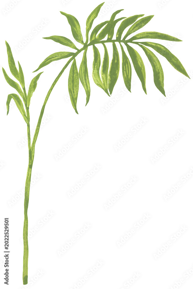 Obraz premium Vintage round green leaves on branch illustration hand-painted with gouache
