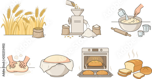 Bild auf Leinwand Illustration of Wheat Milling and Bread Making Process from Grain to Oven for Ba