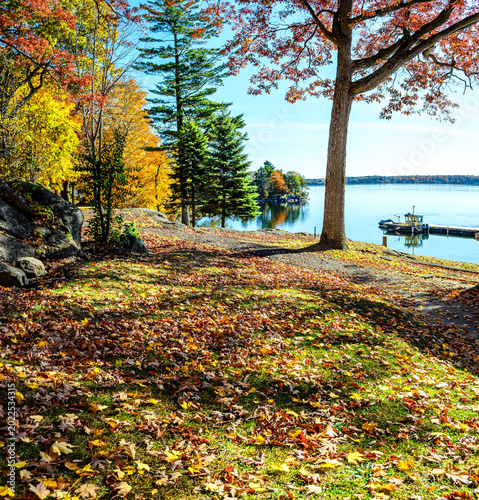 View of fall colors and maple trees receding towards distant water.