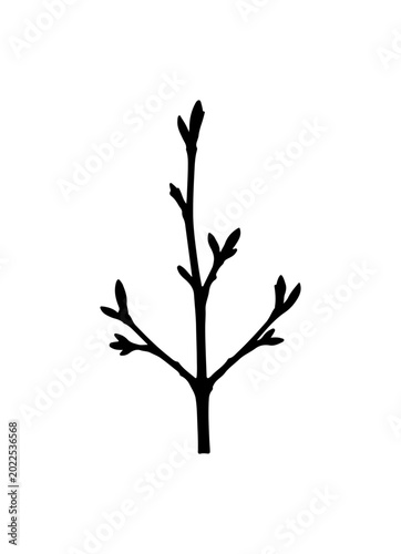 Minimalist Black Silhouette of Tree Branch with Buds