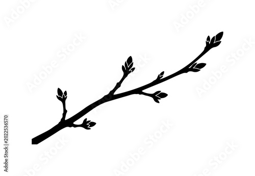 Black Bold Silhouette of Tree Branch with Buds