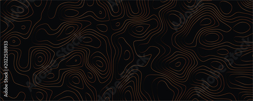 Tableau sur toile Copper topographic map contour lines pattern on a solid black background represe
