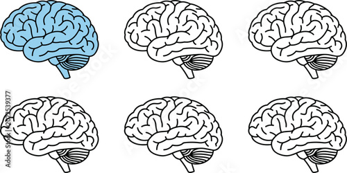 Foto Human Brain Profile Anatomy Line Icon Set with Cerebrum and Cerebellum for Menta
