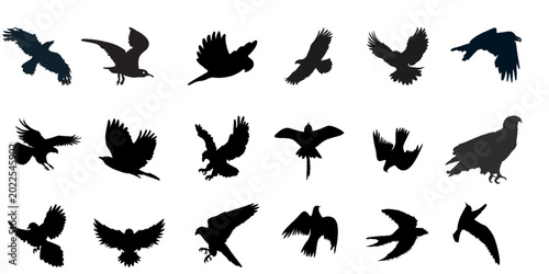 Photos Flying Birds Silhouette Vector Set, Black Eagles and Crows Icons Isolated on Whi