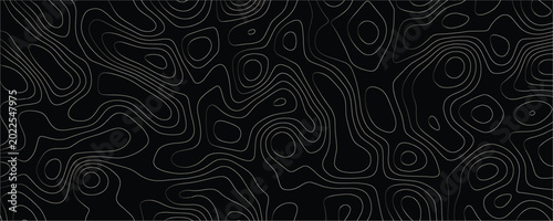 Schilderij op canvas Topographic map lines in thin white strokes on a solid black background creating