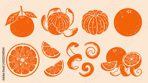 Fotografie Orange fruit collection stylized illustration with peels and slices