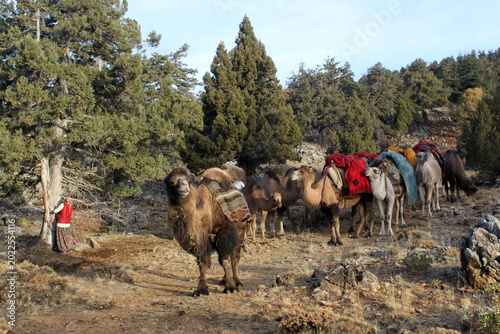 Quadro em tela People who live a nomadic lifestyle in the Taurus Mountains