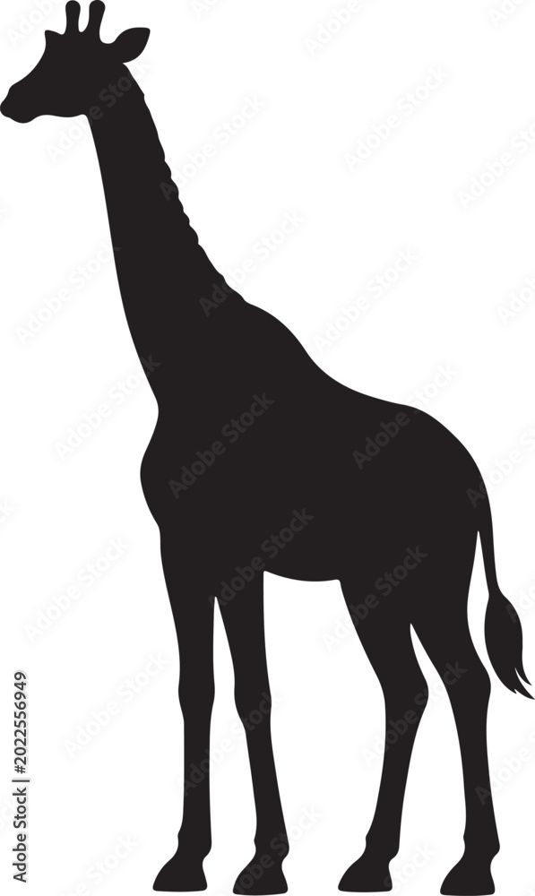 Obraz premium camel vector