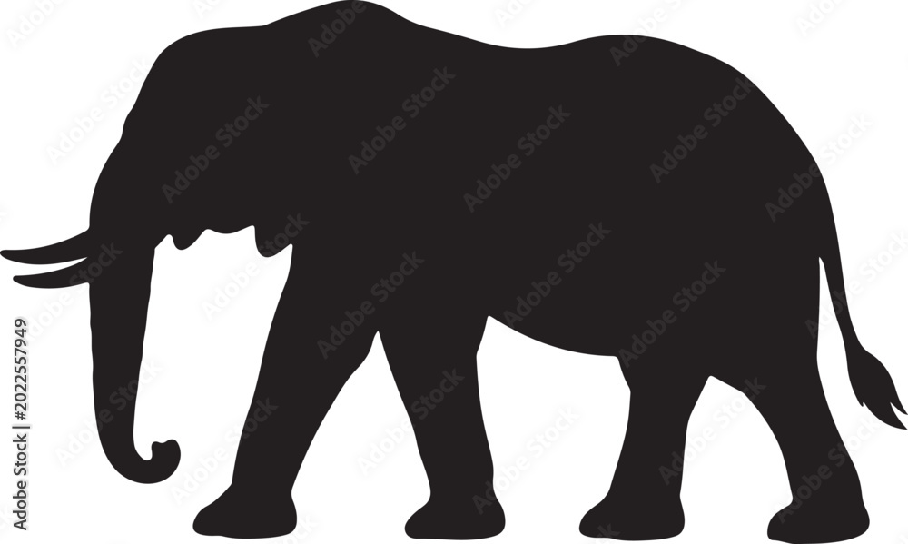 Fototapeta premium elephant vector