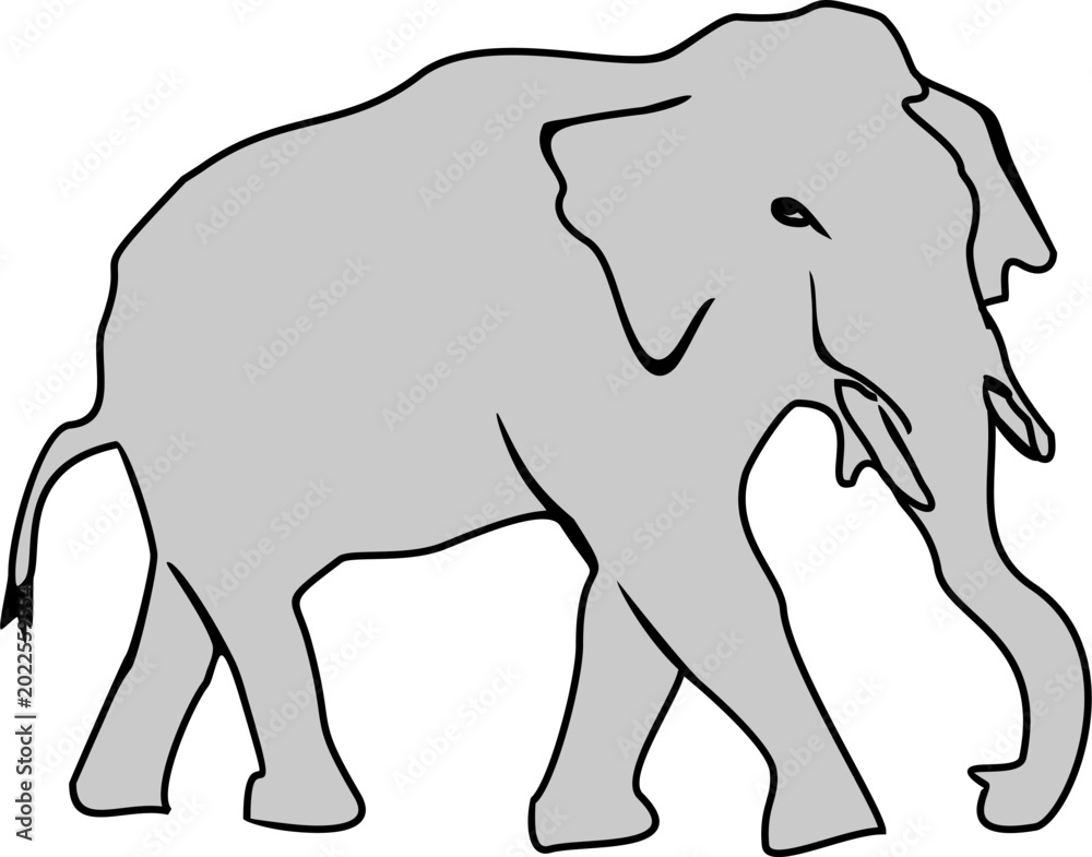Fototapeta premium Elephant Illustration with Hand-Drawn Sketch Style