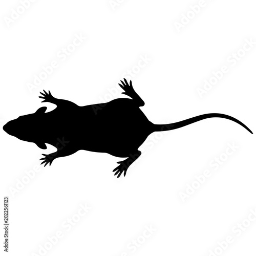 Black and white rat silhouette viewed from above in line art style