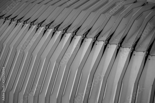 Curved Metal Roof Architecture Detail in Black and White