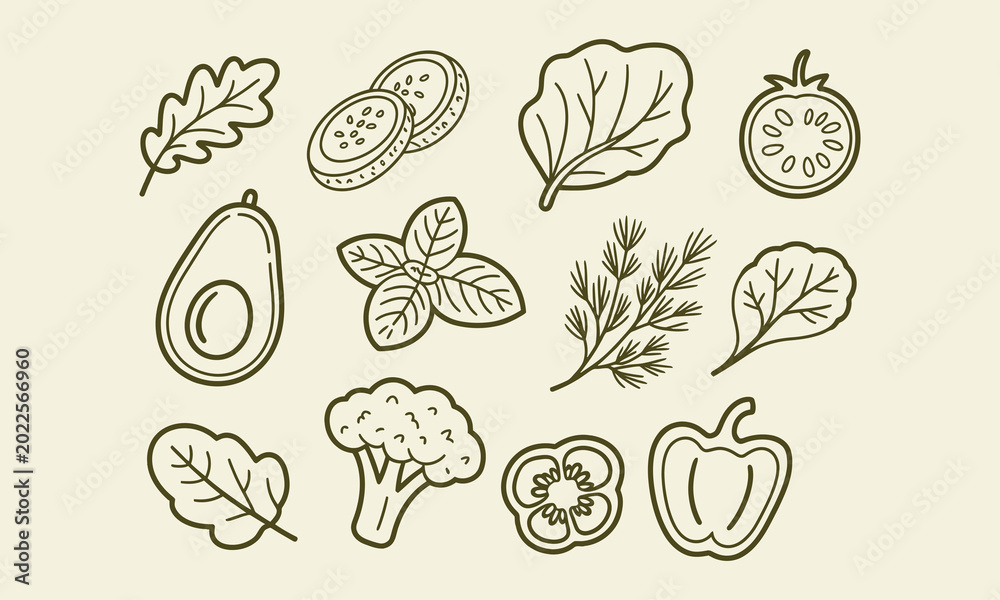 Fototapeta premium Healthy food and vegetables line art vector collection for healthy lifestyle.