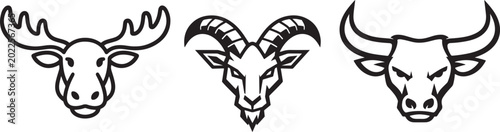Photography Wildlife inspired animal face artwork for branding, apparel and decorative grap