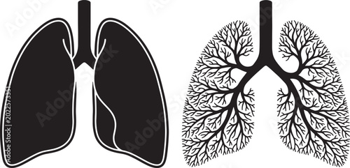 Φωτογραφία Black and white silhouette of lungs beside tree-like structure of bronchial tube