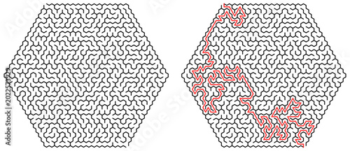 Konstfotografi Extreme Hexagonal Maze Puzzle with Solution Path