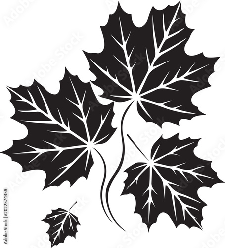 Konstfotografi Maple leaves vector illustration, isolated on transparent background, autumn theme nature