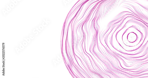 Billede på lærred A digital art representation of flowing purple lines creating a circular, topogr