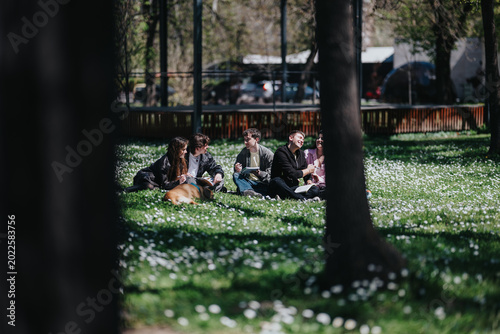 Quadro su tela A group of school friends sit on a grassy park lawn talking and sharing a casual picnic