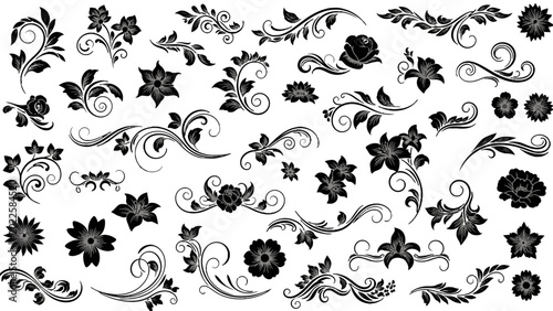 Extensive Set of Black and White Floral and Scroll Patterns, Assorted Decorative Design Elements on Isolated White Background