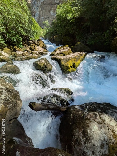 waterfall in the forest
