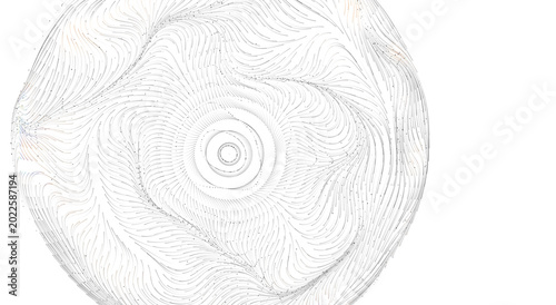 Bilde på lerret Intricate flowing lines form a mesmerizing abstract circular pattern with a sens