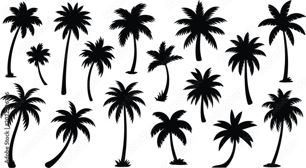 Naklejka premium Collection of black palm tree silhouettes isolated on white background for tropical summer travel vacation and exotic nature design elements.