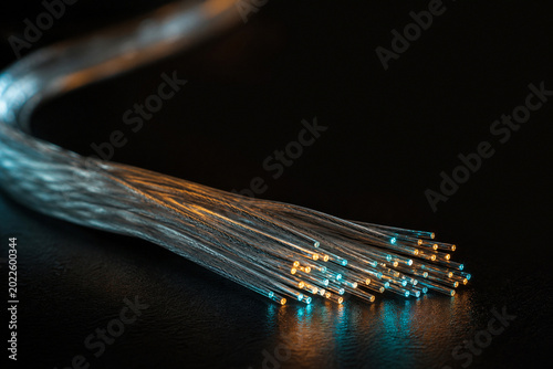Braided fiber optic data strands