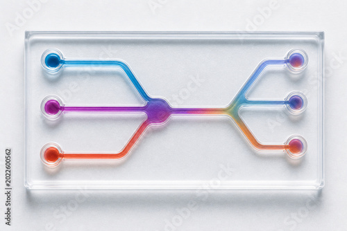 Microfluidic lab chip channels