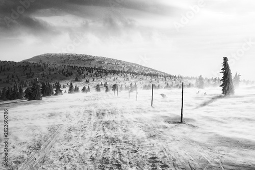 Photos Windblown snow in Krkonose